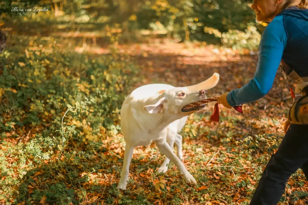 Was ist Dummyarbeit? | Dummy im Dialog
